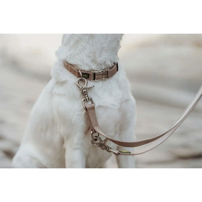 Dog collar Hunter Inari Beige 40-55 cm L - Домашни Животни<<<Дом Градина<<<BigBuy&&&Пътуване и разходки<<<Домашни