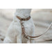 Dog collar Hunter Inari Beige 40-55 cm L - Домашни Животни<<<Дом Градина<<<BigBuy&&&Пътуване и разходки<<<Домашни