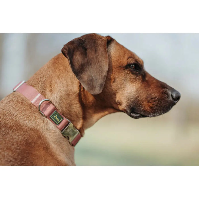 Dog collar Hunter Inari Red M 30-45 cm - Домашни Животни<<<Дом Градина<<<BigBuy&&&Пътуване и разходки<<<Домашни