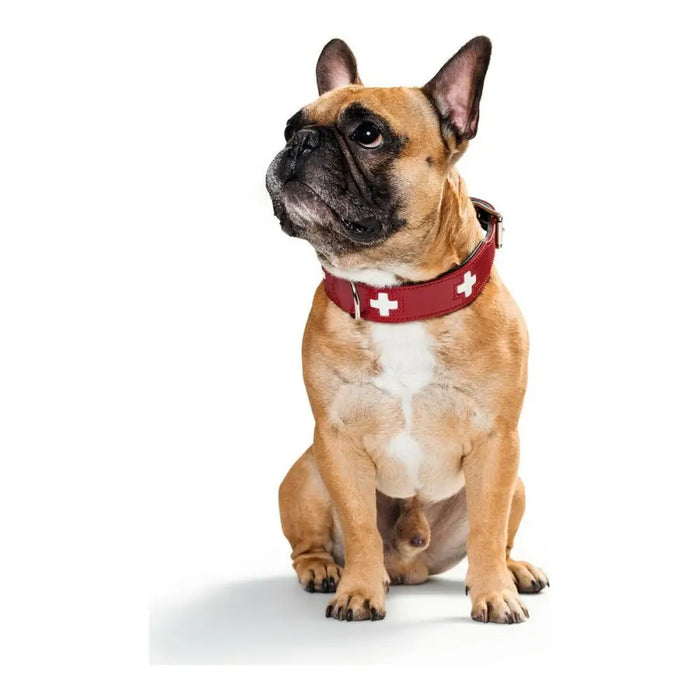 Dog collar Hunter Swiss Red/Black (41-49 cm) - Домашни Животни<<<Дом Градина<<<BigBuy&&&Пътуване и разходки<<<Домашни