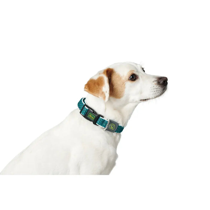 Dog collar Hunter Turquoise 12 - Домашни Животни<<<Дом Градина<<<BigBuy&&&Пътуване и разходки<<<Домашни Животни<<<Дом