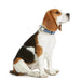 Dog collar Hunter VARIO BASIC Blue M 30-45 cm - Домашни Животни<<<Дом Градина<<<BigBuy&&&Пътуване и разходки<<<Домашни