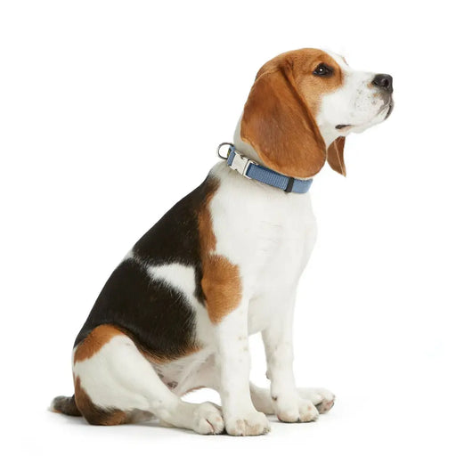 Dog collar Hunter VARIO BASIC Blue XL 45-65 cm - Домашни Животни<<<Дом Градина<<<BigBuy&&&Пътуване и разходки<<<Домашни