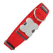 Dog collar Red Dingo Red (4 x 50-80 cm) - Домашни Животни<<<Дом Градина<<<BigBuy&&&Пътуване и разходки<<<Домашни