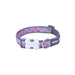 Dog collar Red Dingo STYLE HOT PINK ON COOL GREY 15 mm x 24-36 cm Grey - Домашни Животни<<<Дом