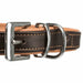 Dog collar Trixie Brown Light brown - Домашни Животни<<<Дом Градина<<<BigBuy&&&Пътуване и разходки<<<Домашни