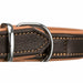 Dog collar Trixie Brown Light brown - Домашни Животни<<<Дом Градина<<<BigBuy&&&Пътуване и разходки<<<Домашни