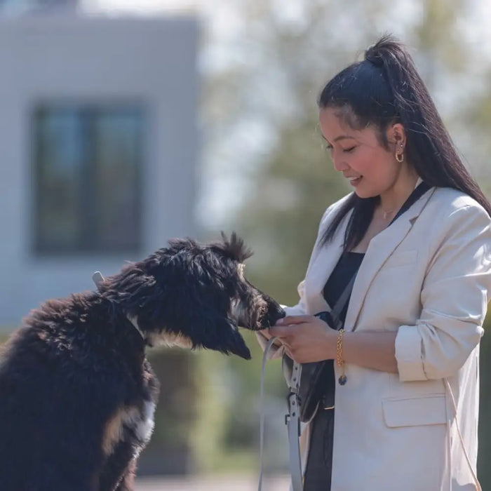 Dog collar Trixie CityStyle Black S/M 30-37 cm - Пътуване и разходки<<<Домашни Животни<<<Дом Градина<<<BigBuy