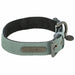 Dog collar Trixie CityStyle Green M 35-42 cm - Домашни Животни<<<Дом Градина<<<BigBuy&&&Пътуване и разходки<<<Домашни