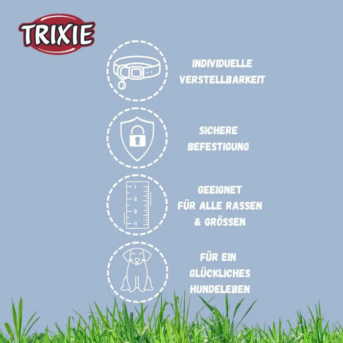 Dog collar Trixie CityStyle Light grey L/XL 50-57 cm - Домашни Животни<<<Дом Градина<<<BigBuy&&&Пътуване и