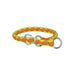 Dog collar Trixie Green Orange S/M 30-36 cm - Домашни Животни<<<Дом Градина<<<BigBuy&&&Пътуване и разходки<<<Домашни