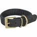 Dog collar Trixie Pure Black L 47-54 cm - Домашни Животни<<<Дом Градина<<<BigBuy&&&Пътуване и разходки<<<Домашни