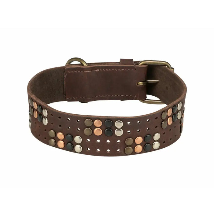 Dog collar Trixie Rustic Dark brown M - Домашни Животни<<<Дом Градина<<<BigBuy&&&Пътуване и разходки<<<Домашни