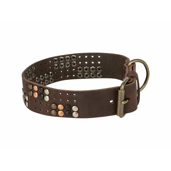 Dog collar Trixie Rustic Dark brown S-M - Домашни Животни<<<Дом Градина<<<BigBuy&&&Пътуване и разходки<<<Домашни