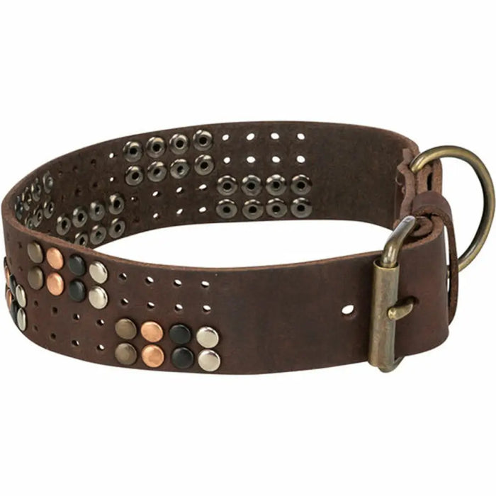 Dog collar Trixie Rustic Dark brown XL - Домашни Животни<<<Дом Градина<<<BigBuy&&&Пътуване и разходки<<<Домашни