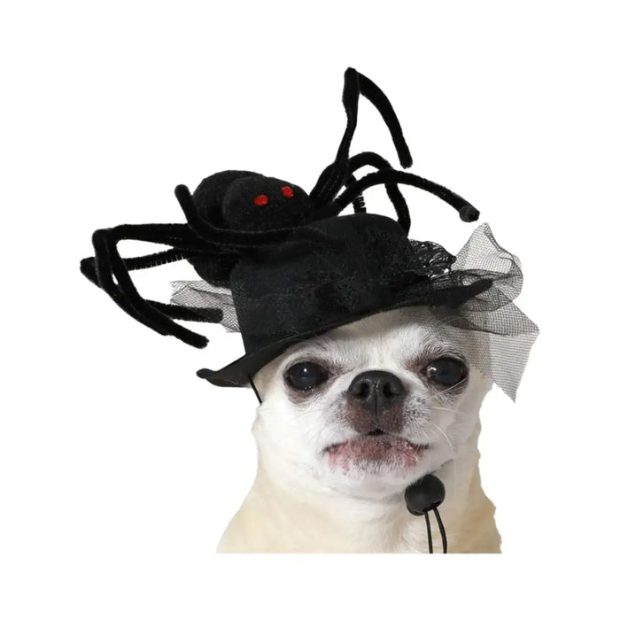 Dog Costume Black Hat - Домашни Животни<<<Дом Градина<<<BigBuy&&&Играчки<<<Домашни Животни<<<Дом Градина<<<BigBuy