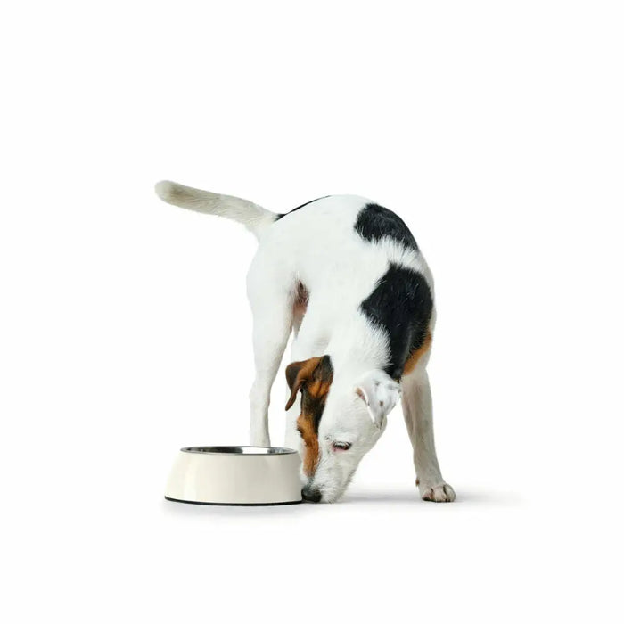 Dog Feeder Hunter Black 1,4 L Melamin - Домашни Животни<<<Дом Градина<<<BigBuy&&&Купички за храна и вода<<<Домашни