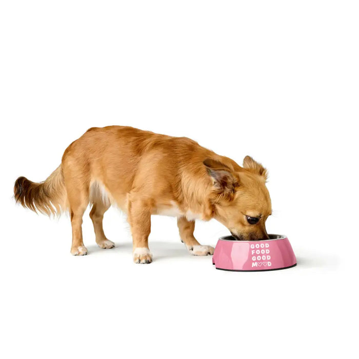 Dog Feeder Hunter CHESTER Pink 700 ml - Домашни Животни<<<Дом Градина<<<BigBuy&&&Купички за храна и вода<<<Домашни