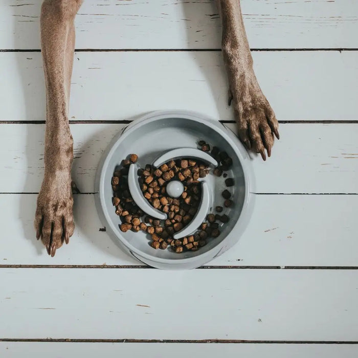 Dog Feeder Hunter Melamin 900 ml - Домашни Животни<<<Дом Градина<<<BigBuy&&&Купички за храна и вода<<<Домашни