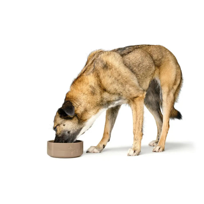 Dog Feeder Hunter OSBY Beige Ceramic 1,1 L - Домашни Животни<<<Дом Градина<<<BigBuy&&&Купички за храна и вода<<<Домашни