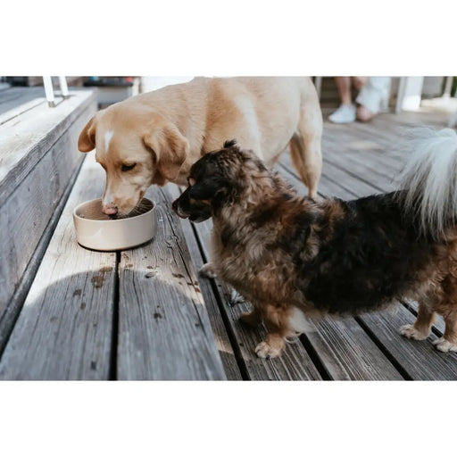 Dog Feeder Hunter OSBY Beige Ceramic 1,9 L - Домашни Животни<<<Дом Градина<<<BigBuy&&&Купички за храна и вода<<<Домашни