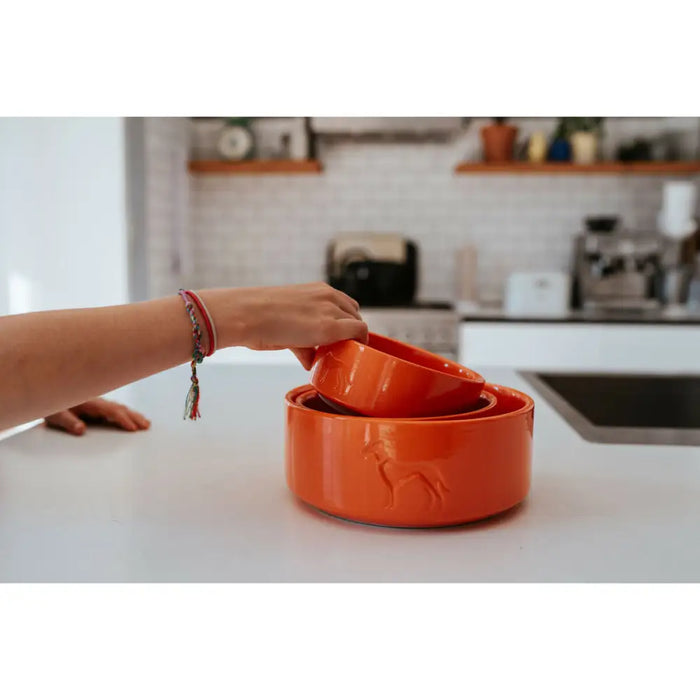 Dog Feeder Hunter OSBY Orange - Домашни Животни<<<Дом Градина<<<BigBuy&&&Купички за храна и вода<<<Домашни