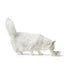 Dog Feeder Hunter Silicone Stainless steel 1,05 L - Домашни Животни<<<Дом Градина<<<BigBuy&&&Купички за храна и