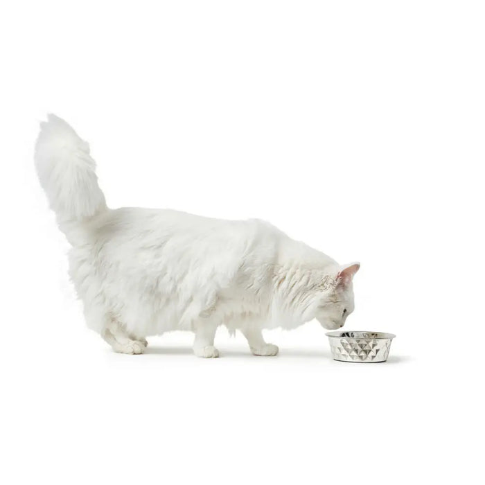 Dog Feeder Hunter Silicone Stainless steel 1,75 L - Домашни Животни<<<Дом Градина<<<BigBuy&&&Купички за храна и