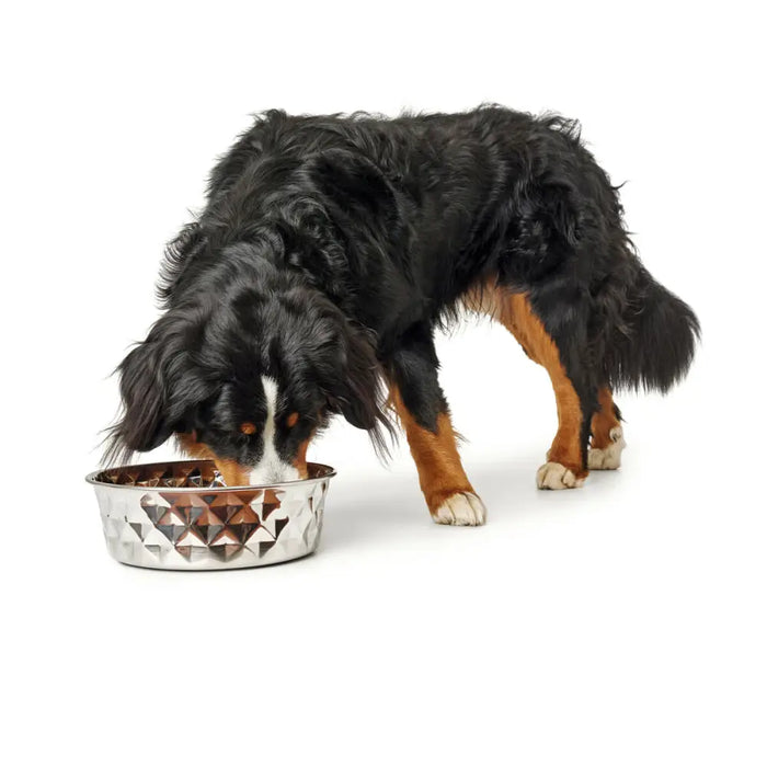 Dog Feeder Hunter Silicone Stainless steel 550 ml - Домашни Животни<<<Дом Градина<<<BigBuy&&&Купички за храна и