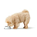 Dog Feeder Hunter Valencia White 160 ml - Домашни Животни<<<Дом Градина<<<BigBuy&&&Купички за храна и вода<<<Домашни