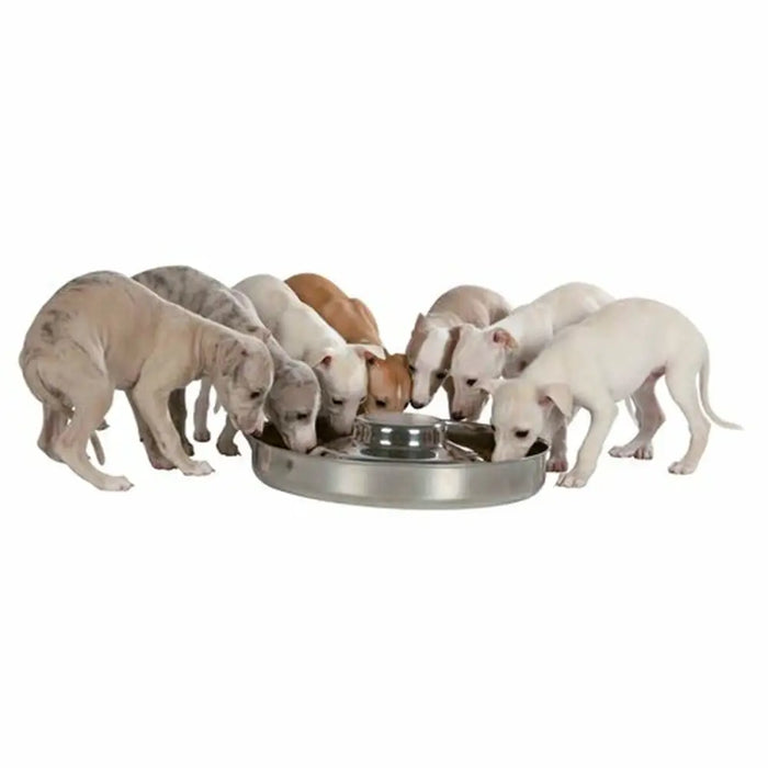 Dog Feeder Trixie Junior Stainless steel Ø 38 cm 4 L - Домашни Животни<<<Дом Градина<<<BigBuy&&&Купички за храна и