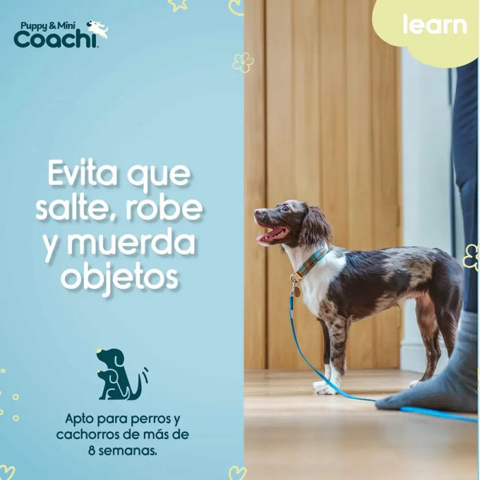 Dog Harness Coachi - Домашни Животни<<<Дом Градина<<<BigBuy&&&Пътуване и разходки<<<Домашни Животни<<<Дом