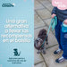 Dog Harness Coachi - Домашни Животни<<<Дом Градина<<<BigBuy&&&Пътуване и разходки<<<Домашни Животни<<<Дом