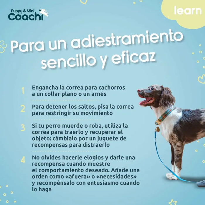 Dog Harness Coachi - Домашни Животни<<<Дом Градина<<<BigBuy&&&Пътуване и разходки<<<Домашни Животни<<<Дом