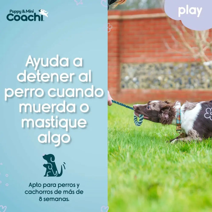 Dog Harness Coachi - Домашни Животни<<<Дом Градина<<<BigBuy&&&Пътуване и разходки<<<Домашни Животни<<<Дом