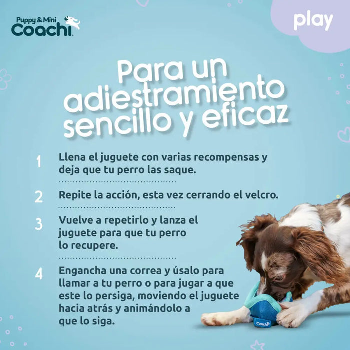 Dog Harness Coachi - Домашни Животни<<<Дом Градина<<<BigBuy&&&Пътуване и разходки<<<Домашни Животни<<<Дом