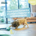 Dog Harness Coachi - Домашни Животни<<<Дом Градина<<<BigBuy&&&Пътуване и разходки<<<Домашни Животни<<<Дом