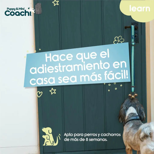 Dog Harness Coachi - Домашни Животни<<<Дом Градина<<<BigBuy&&&Пътуване и разходки<<<Домашни Животни<<<Дом