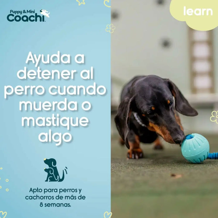 Dog Harness Coachi - Домашни Животни<<<Дом Градина<<<BigBuy&&&Пътуване и разходки<<<Домашни Животни<<<Дом