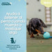 Dog Harness Coachi - Домашни Животни<<<Дом Градина<<<BigBuy&&&Пътуване и разходки<<<Домашни Животни<<<Дом