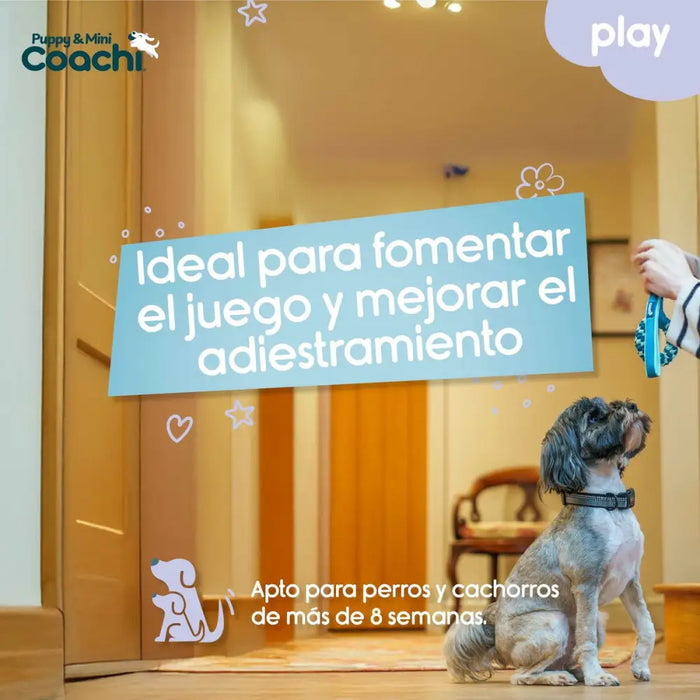 Dog Harness Coachi - Домашни Животни<<<Дом Градина<<<BigBuy&&&Пътуване и разходки<<<Домашни Животни<<<Дом