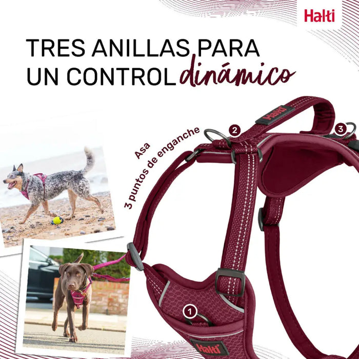 Dog Harness Company of Animals Burgundy L 42-65 cm - Домашни Животни<<<Дом Градина<<<BigBuy&&&Пътуване и