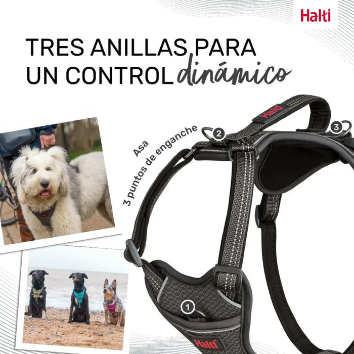 Dog Harness Company of Animals Grey M 35-55 cm - Домашни Животни<<<Дом Градина<<<BigBuy&&&Пътуване и разходки<<<Домашни