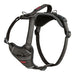 Dog Harness Company of Animals Grey M 35-55 cm - Домашни Животни<<<Дом Градина<<<BigBuy&&&Пътуване и разходки<<<Домашни