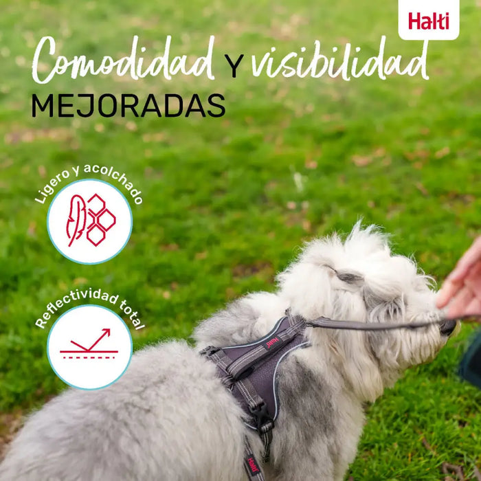 Dog Harness Company of Animals Grey XL 50-78 cm - Домашни Животни<<<Дом Градина<<<BigBuy&&&Пътуване и