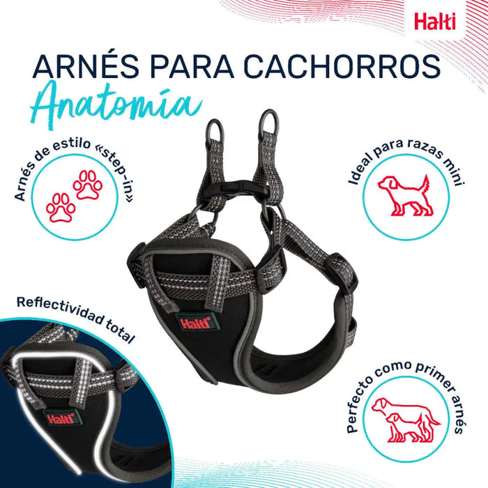 Dog Harness Company of Animals Grey XXS 22-30 cm - Домашни Животни<<<Дом Градина<<<BigBuy&&&Пътуване и