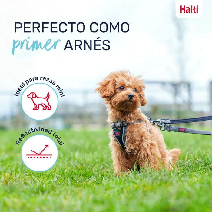 Dog Harness Company of Animals Grey XXS 22-30 cm - Домашни Животни<<<Дом Градина<<<BigBuy&&&Пътуване и