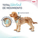 Dog Harness Company of Animals Grey XXS 22-30 cm - Домашни Животни<<<Дом Градина<<<BigBuy&&&Пътуване и