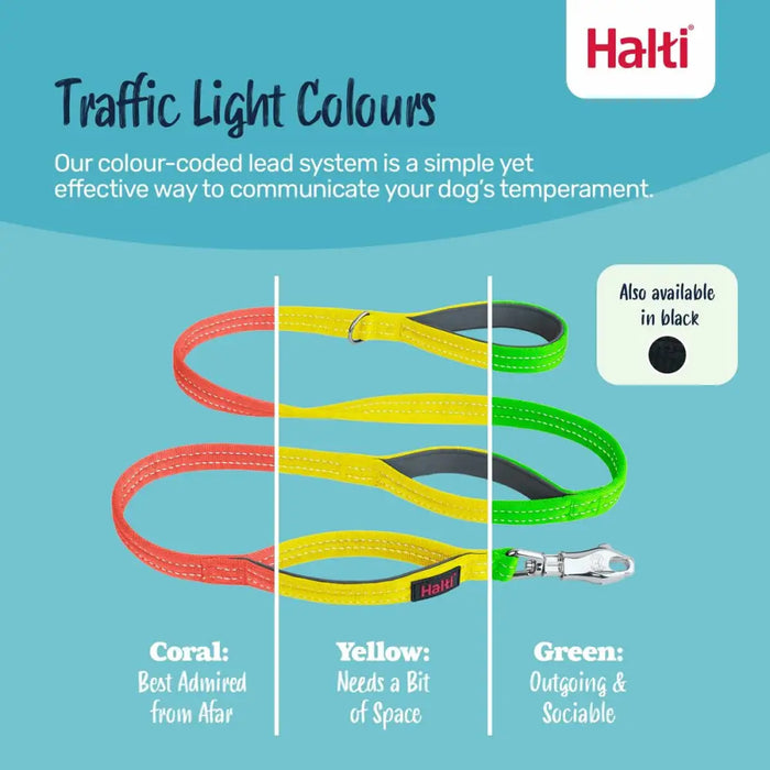 Dog Harness Company of Animals L - Домашни Животни<<<Дом Градина<<<BigBuy&&&Пътуване и разходки<<<Домашни Животни<<<Дом