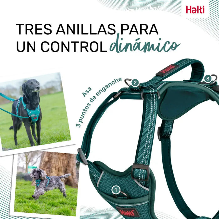 Dog Harness Company of Animals Turquoise L 42-65 cm - Домашни Животни<<<Дом Градина<<<BigBuy&&&Пътуване и